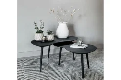 Couchtisch 2er Set Highlight Teak