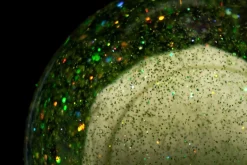 Dekofigur The Astronauts Giant grün