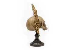 Dekoobjekt Skull King