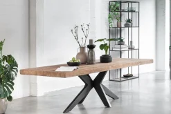 Esstisch Newton Teak natur B 220 cm
