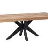 Esstisch Newton Teak natur B 260 cm