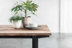 Esstisch Odeon Teak natur B 200 cm