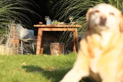 italienischer Designchair Blanchet mit Armlehne dunkelgrau