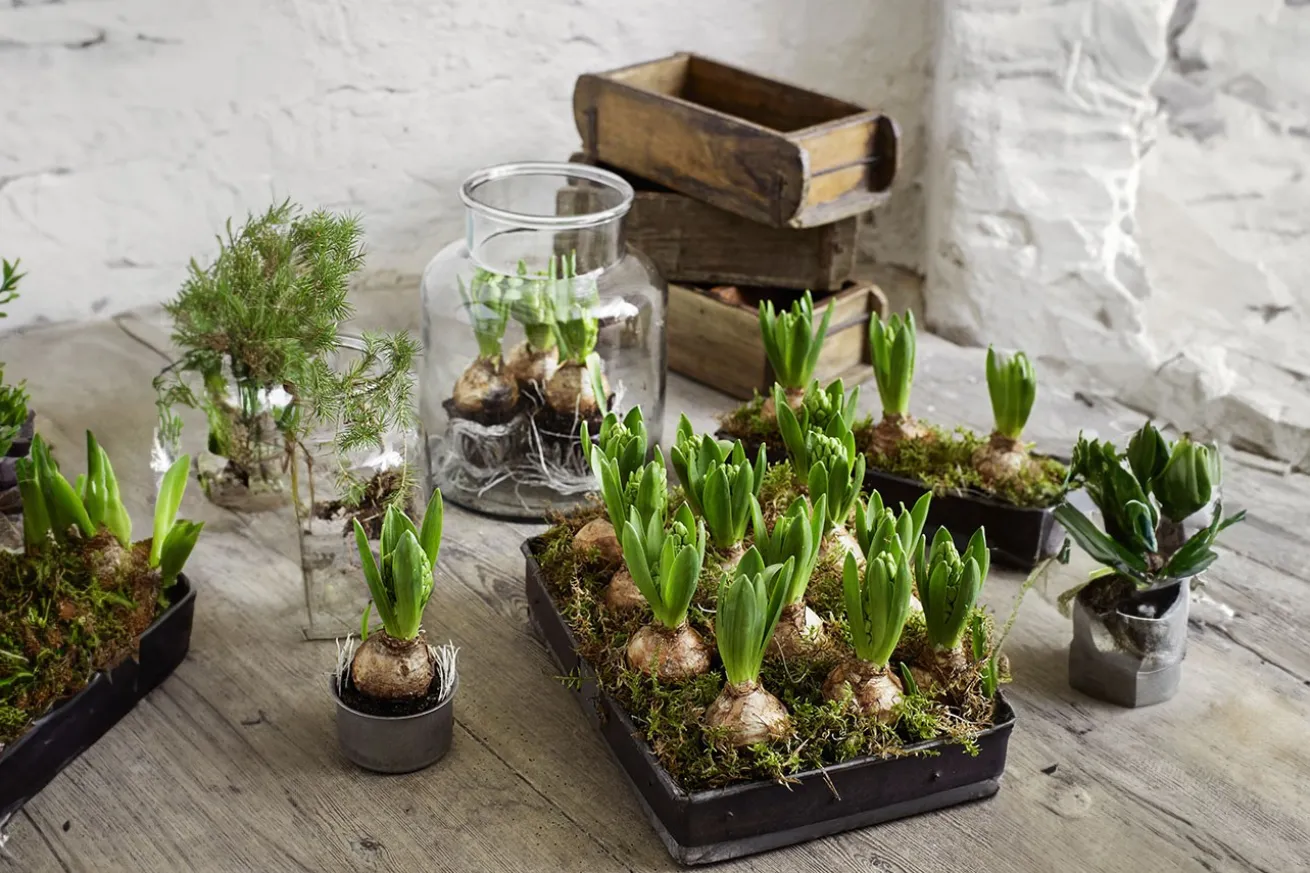 Metallkiste Vintage B 27 cm