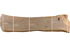 Monolith Tischplatte Mangoholz 375