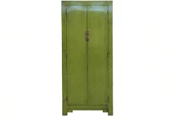 Schrank Asia grün H 200 cm