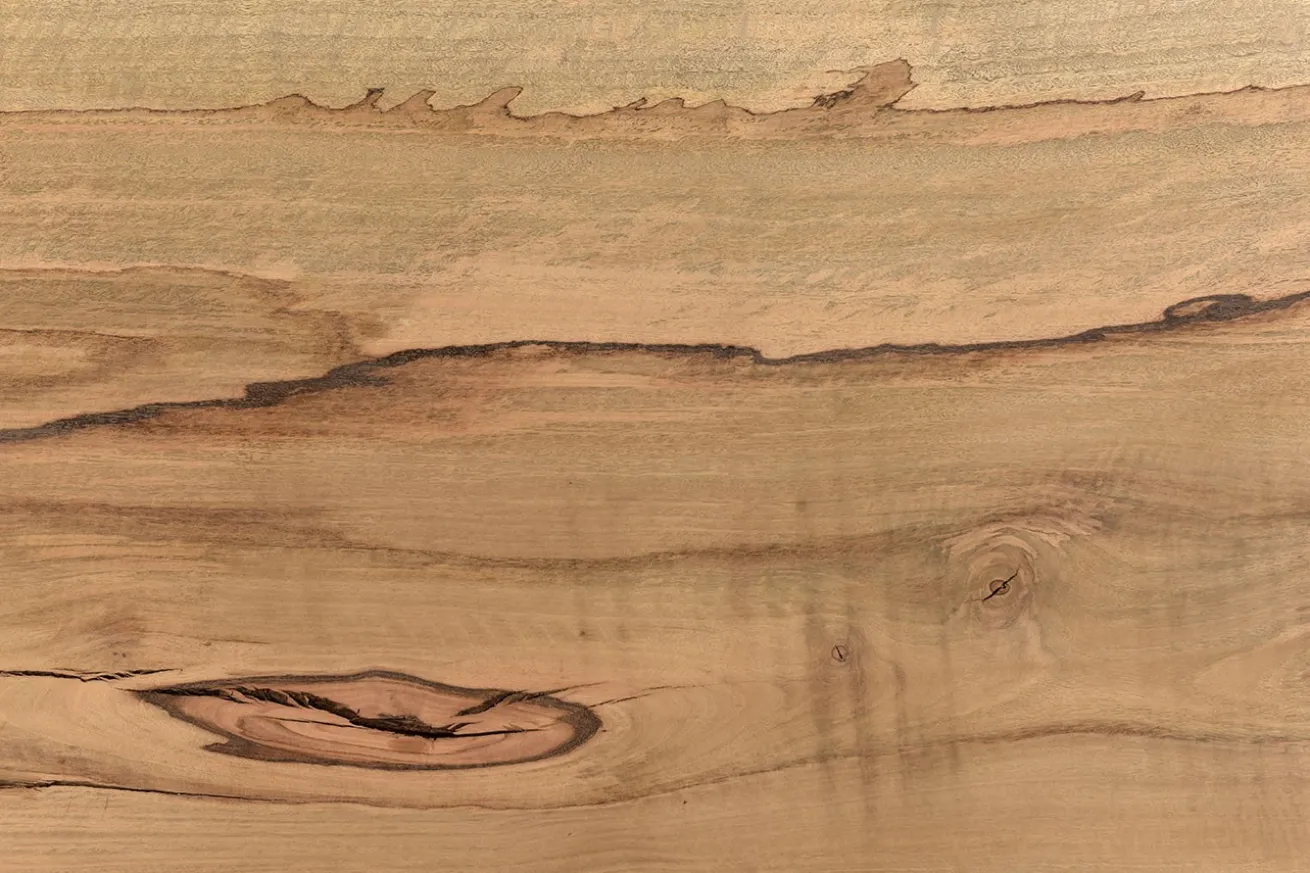Tischplatte Mangoholz Monolith 160x90 cm