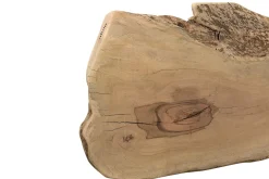 Tischplatte Mangoholz Monolith 320x95 cm