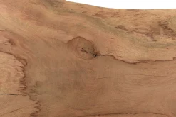 Tischplatte Mangoholz Monolith 240x118 cm