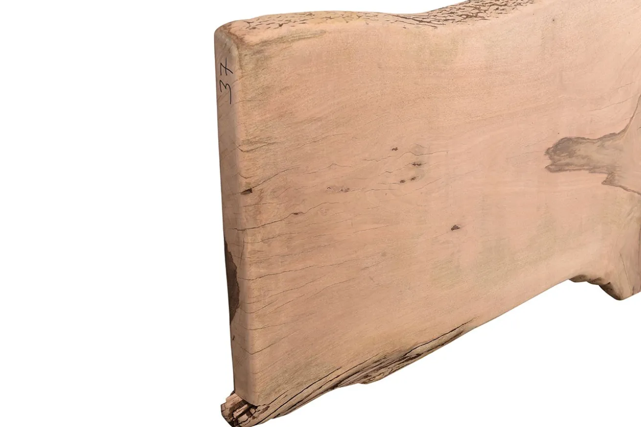 Tischplatte Mangoholz Monolith 342x117 cm