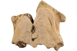 Tischplatte Mangoholz Monolith 80x77 cm