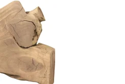 Tischplatte Mangoholz Monolith 68x50 cm