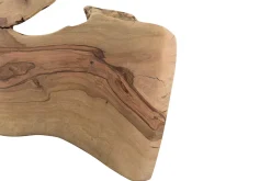 Tischplatte Mangoholz Monolith 315x105 cm