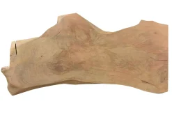 Tischplatte Mangoholz Monolith 200x120 cm