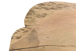 Tischplatte Mangoholz Monolith 82x68 cm