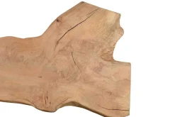 Tischplatte Massivholz Mango Monolith 377