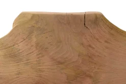 Tischplatte Monolith Mangoholz 340cm