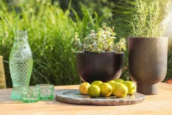 Trinkglas Fish & Fish grün H 6 cm